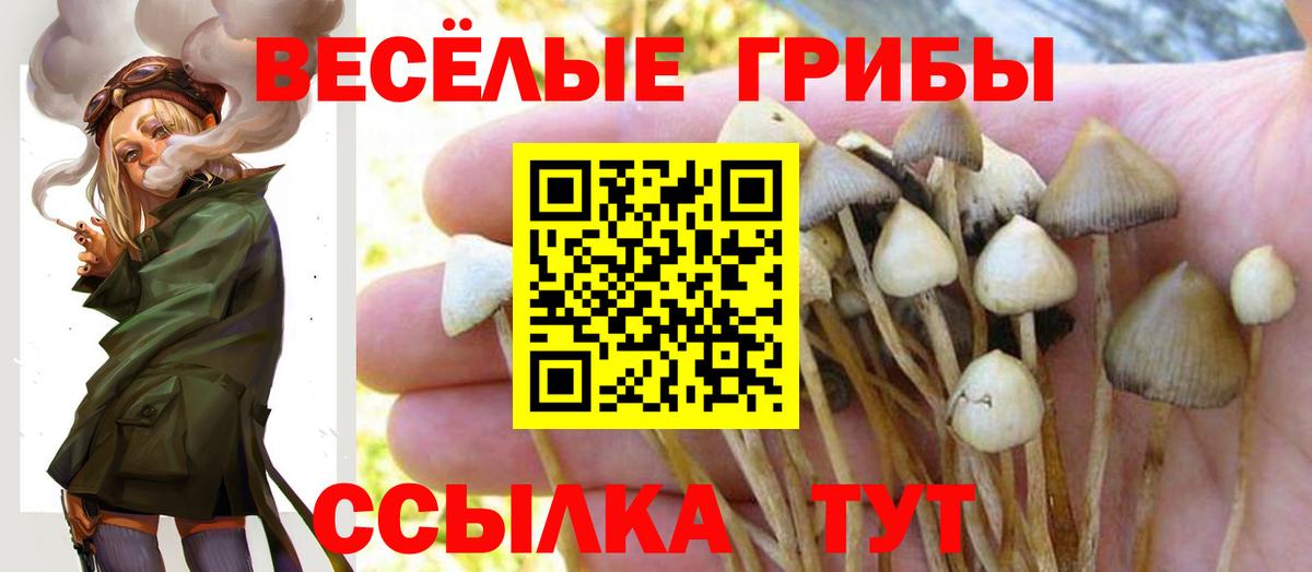 МЕТАМФЕТАМИН Верхняя Пышма
