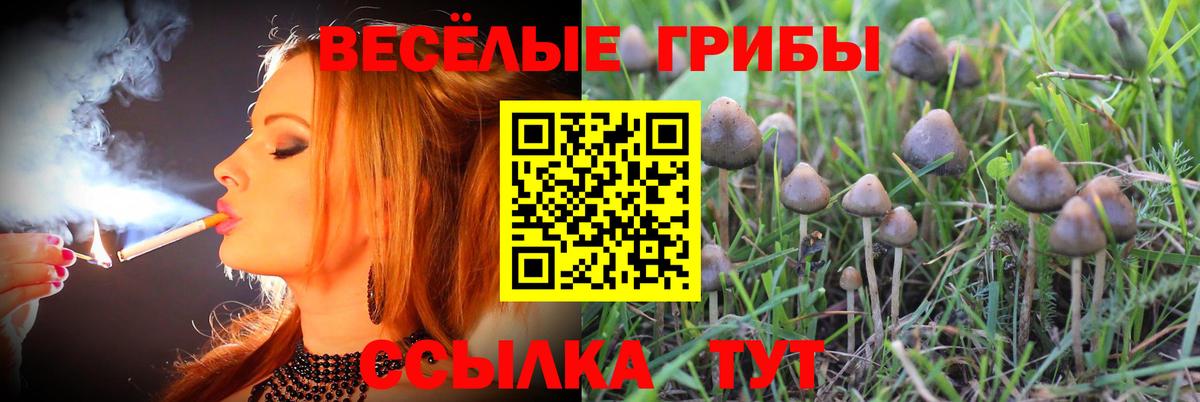 КОКАИН  Верхняя Пышма  Вход с VPN  NBOMe  Меф кристаллы  ГАШ  МАРИХУАНА 