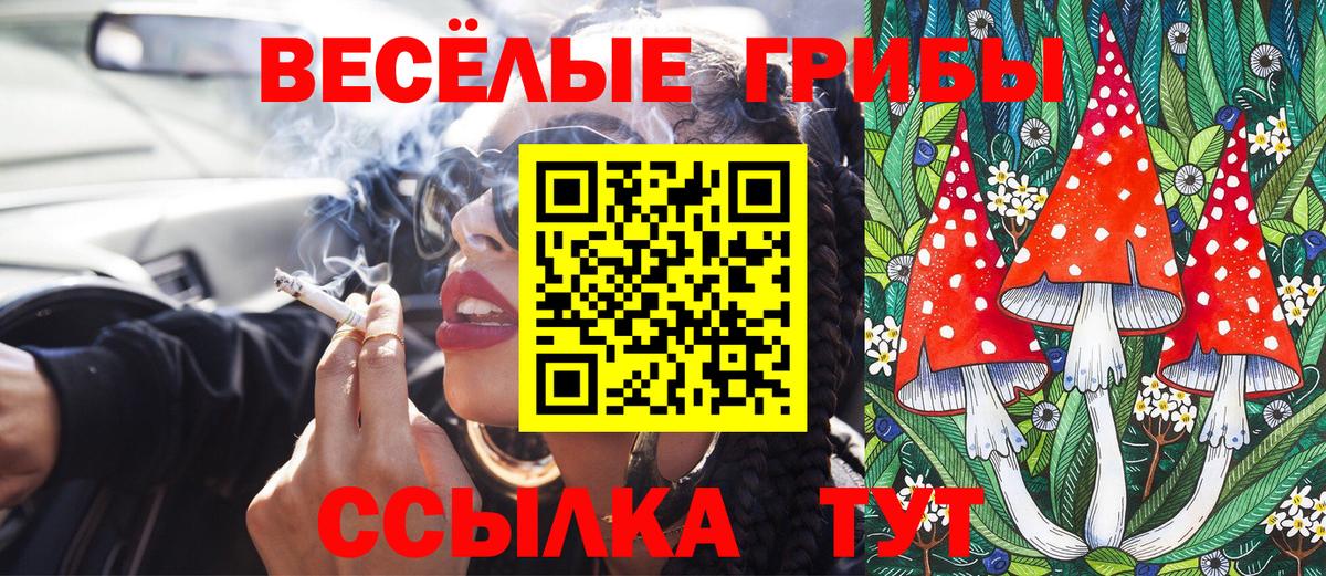 Псилоцибиновые грибы мухоморы Верхняя Пышма